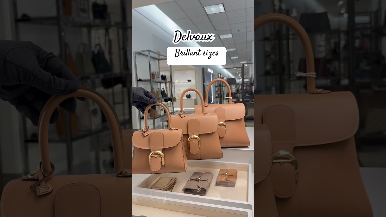 Delvaux Brillant 3 Sizes explained