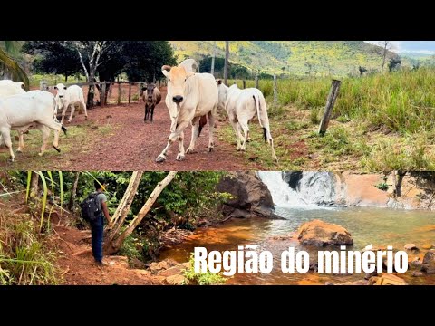 Conhesa uma região rica e produtiva no polo pecuária e mineração são Félix do Xingu Pará