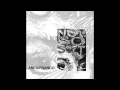 Ani DiFranco - She Says
