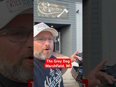 The Grey Dog Video Review