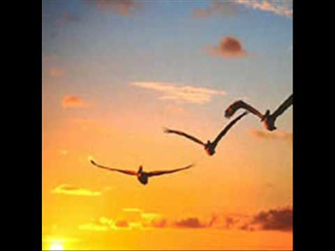 Piazzolla - Agri - Los pájaros perdidos