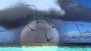 REM * * * I'll take the rain