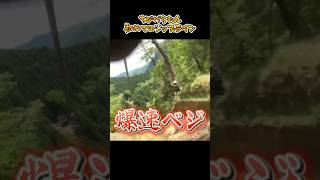 かなり前に行った福井旅行🦖#ツリーピクニックアドベンチャーいけだ#treepicnicadventureikeda #ちびげらもん #福井観光 #ジップライン