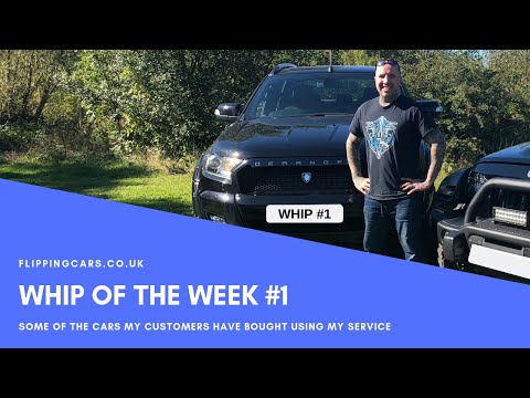 Whip of the Week #1