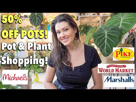 50% Off Pots At Michaels! World Market, Marshall's, & Pikes Pot & Plant Shopping - Charlotte, NC