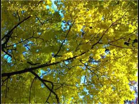 Nine Eleven - Tribute to New York City