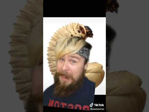 Disturbing facts about life as a guardsman. #warhammer #warhammer40k #ttrpg #shorts #rpg