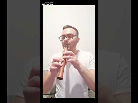 Los Lobos - La Bamba Saxonette cover