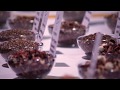 World Tea Expo