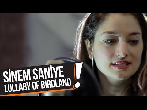 Sinem Saniye - Lullaby Of Birdland (B!P Akustik)