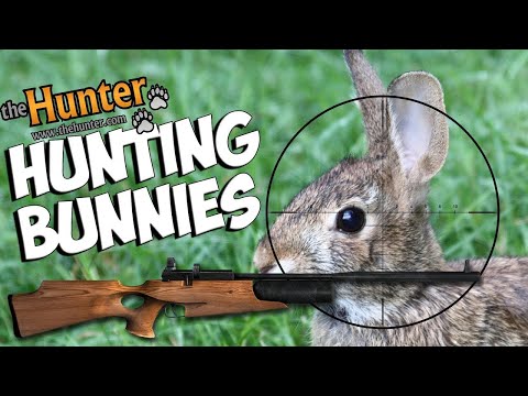 theHunter Classic охота на кроликов