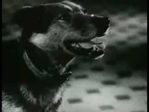 Siarka Kraköw - Noc krabów.mpg