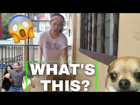 BUSKING DIARIES: EP.2 Choosing Your First Portable Busking Amplifier