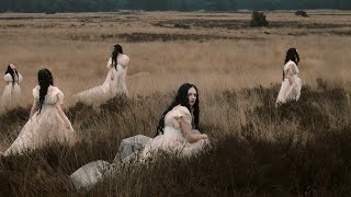 Swan - Yin Yang video
