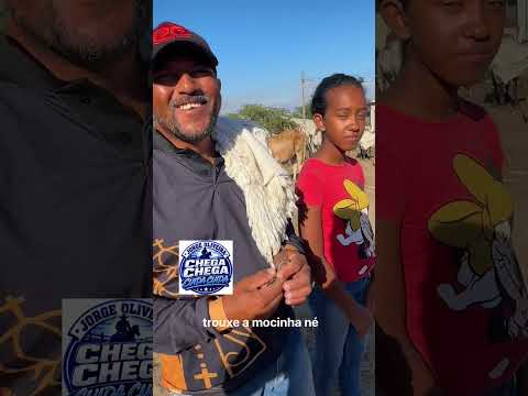 🐂🔥 FEIRA DE GADO DE SÃO JOSÉ DA TAPERA-AL!📅 TODOS OS SÁBADOS, DAS 5H ÀS 15H! Rua Padre Soares Pinto 