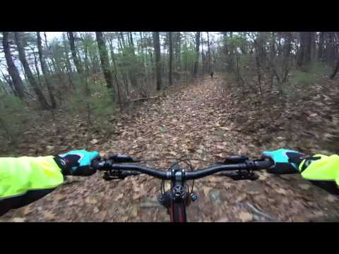 Hunter Lowell Dracut State Forest