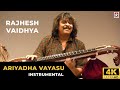 Rajhesh Vaidhya Ariyadha Vayasu 4K Video Song Instrumental Tamil Music Video
