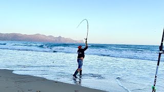 MARE in scaduta : questi PESCI strappano le canne dal picchetto...