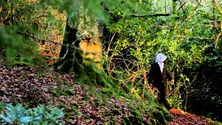 David Lynch - Light Shines (Music Video)