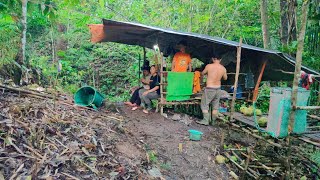 Download lagu Kehidupan Suku Dayak di Pondok Hutan Kalimantan, saat Musim Durian mp3