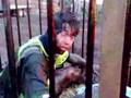 Simon Evans Tarred And Feathered 3