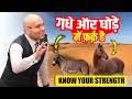Know Your Strength | There is a difference between a donkey and a horse. Harshvardhan Jain 7690030010
