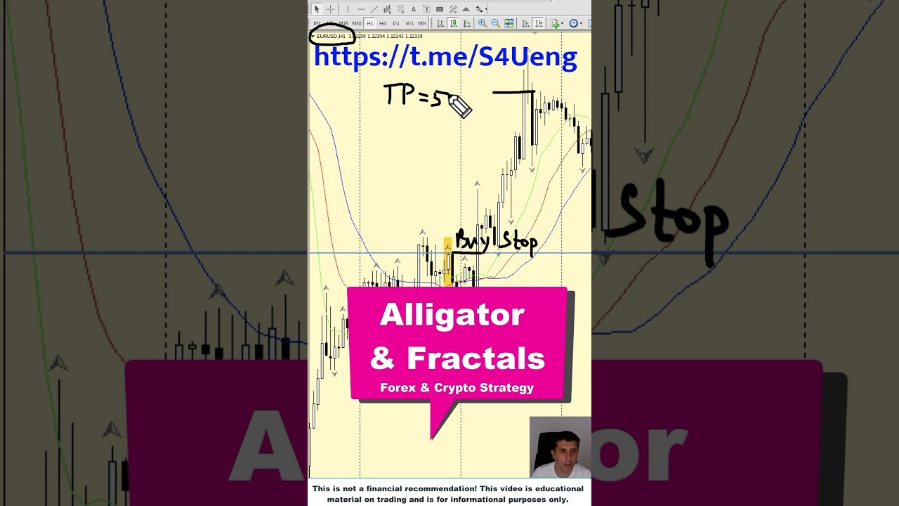 Alligator & Fractals [Forex Trading Strategy]