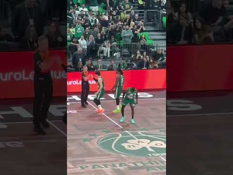 Παναθηναϊκός - Ζαλγκίρις: Στην πεντάδα ο Ματίας Λεσόρ, επέστρεψε στη δράση