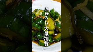 きゅうりが無限に食える奴。#きゅうり #おつまみ #簡単レシピ #けんますクッキング