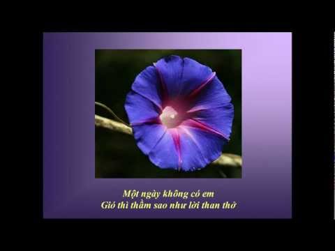 Bản tình ca bất diệt Sheet - Khắc Dũng