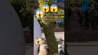 Allah Hu Akbar Allah Hu Akbar ? #shorts