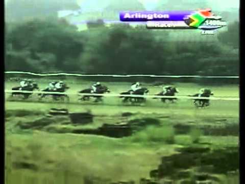 Forest Panther - 2nd win - Racing Association