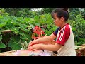 Rural Life Cooking Village Girl Making Traditional Red Sticky Rice Peaceful Countryside