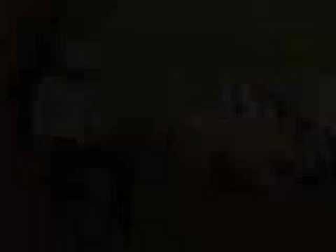 Universum spezial - brainrunners Trailer