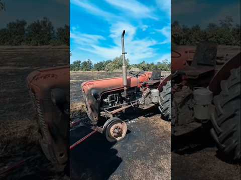Šteta izgorio IMT traktor 🥵 #tractor #imt #automobile #shortvideo