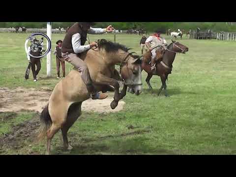 San Cristobal 2026 - Concurso Categ. Clina - 59º  Fiesta Nacional del Caballo - Octubre del 2026