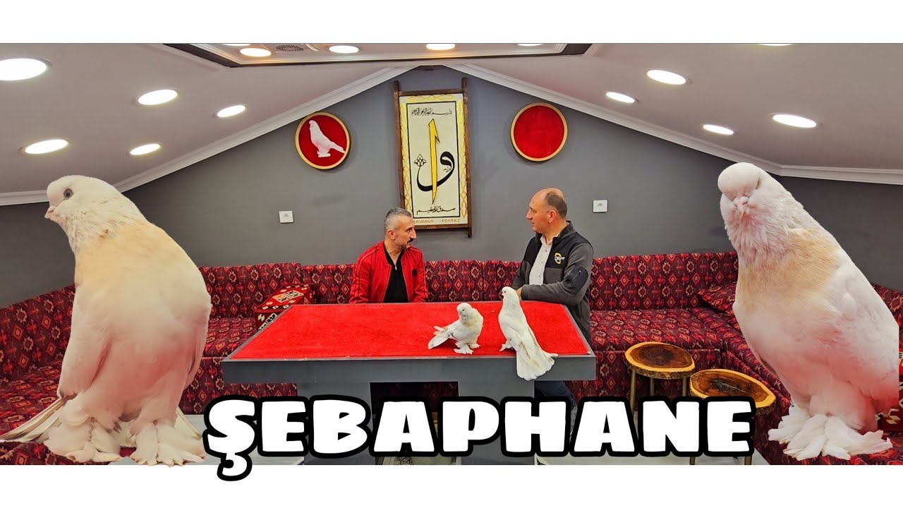 ŞEBAPHANE - MURAT TAŞCAN'IN MEKANINDAYIZ