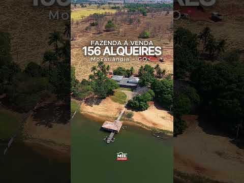 Fazenda 156 alqueires à venda em Mozarlândia - GO  #fazendaavenda #agro