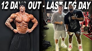 12 DAYS OUT !  LAST LEG DAY + HIGH DAY..
