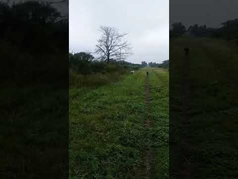 Estancia El Repecho Jacinto Arauz Santa Fé