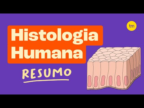 HISTOLOGIA | Os Tecidos do Corpo Humano