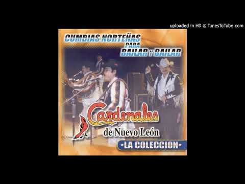 Cardenales de Nuevo Leon-Cumbias mix(DJ Mayo)