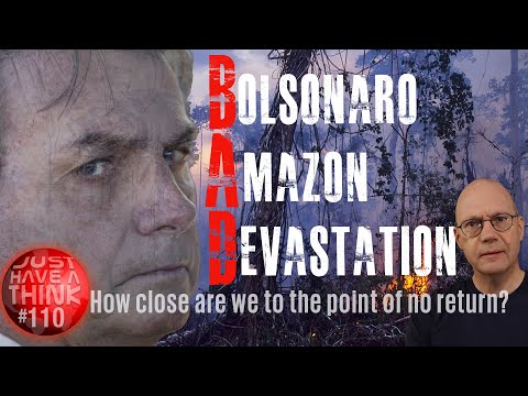 Bolsonaro : How quickly is he destroying the Amazon Rainforest?