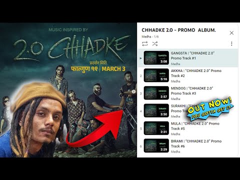 2.0 CHADDKE GETS A KILLER SOUNDTRACKS FROM NASTY || NASTY CHHADKE 2.0 SONGS RELEASED