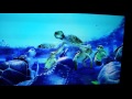 A Turtle S Tale Sammy S Adventure Turtle Love