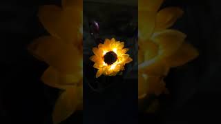 مجسمات نباتات مضيئة زينة للحدائق و الفلل