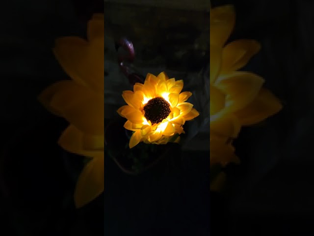 مجسمات نباتات مضيئة زينة للحدائق و الفلل