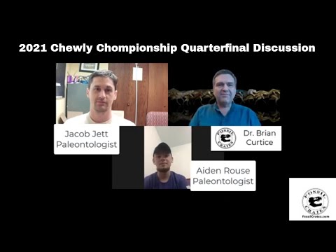 Tyrannosaurus vs Giganotosaurus Spinosaurus vs Tyrannotitan Fossil Crates Dinosaurs