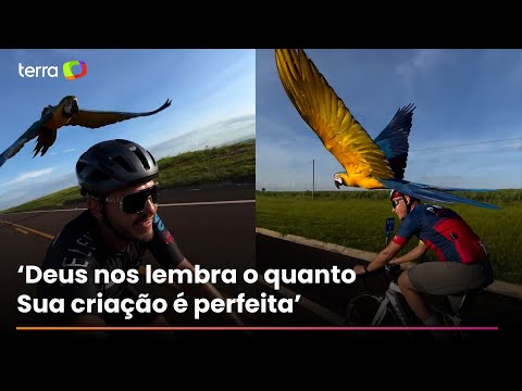 Ciclista viraliza ao registrar arara ‘escoltando’ grupo em atividade no interior de SP