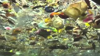 Dudu The Son - I Am the Plastic